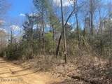  Turkey Creek Road - Photo 23