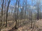 Turkey Creek Road - Photo 3