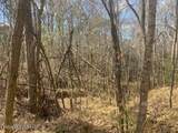  Turkey Creek Road - Photo 4