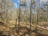  Turkey Creek Road - Photo 6
