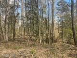  Turkey Creek Road - Photo 7
