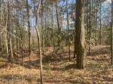  Turkey Creek Road - Photo 8