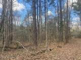  Turkey Creek Road - Photo 9