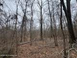 157 Eulogy Road - Photo 11