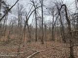 157 Eulogy Road - Photo 12