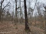 157 Eulogy Road - Photo 13