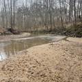 157 Eulogy Road - Photo 16