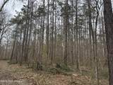 157 Eulogy Road - Photo 22