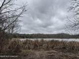 157 Eulogy Road - Photo 25
