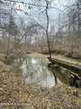 157 Eulogy Road - Photo 34