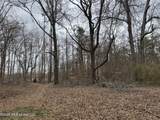 157 Eulogy Road - Photo 39