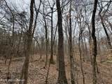 157 Eulogy Road - Photo 40