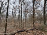157 Eulogy Road - Photo 41