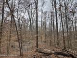 157 Eulogy Road - Photo 42