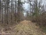 157 Eulogy Road - Photo 45