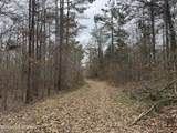 157 Eulogy Road - Photo 46