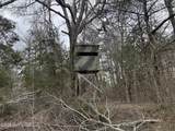 157 Eulogy Road - Photo 47