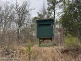 157 Eulogy Road - Photo 48