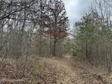 157 Eulogy Road - Photo 49