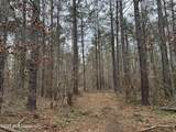 157 Eulogy Road - Photo 50