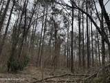 157 Eulogy Road - Photo 51