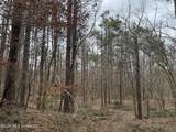 157 Eulogy Road - Photo 52