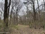 157 Eulogy Road - Photo 53