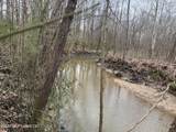 157 Eulogy Road - Photo 54
