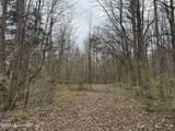 157 Eulogy Road - Photo 55