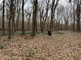 157 Eulogy Road - Photo 56