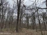 157 Eulogy Road - Photo 57