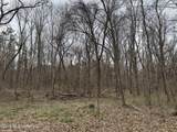 157 Eulogy Road - Photo 58