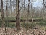 157 Eulogy Road - Photo 59