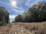  U.S. 49 - Photo 14