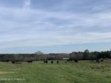 79 Adron Boyd Road - Photo 6