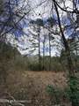 Tbd Joel Lang Road - Photo 1