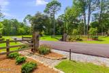  Springwood Trail - Photo 5