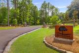  Springwood Trail - Photo 9