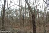 62 County Road 198 - Photo 12