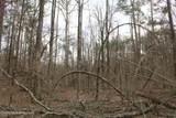62 County Road 198 - Photo 19