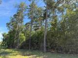 2 Acres Hwy 49 - Photo 1