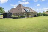 10080 Green Forest Drive - Photo 49