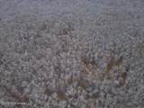 0 Booth Road - Photo 18