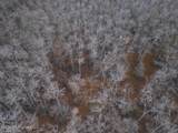 0 Booth Road - Photo 20