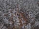 0 Booth Road - Photo 22
