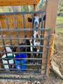 9901 Franks Road - Photo 4