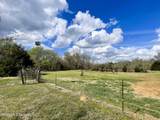 286 Caleb Lane - Photo 39