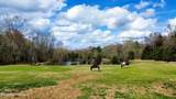 286 Caleb Lane - Photo 55