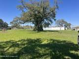 357 Caillavet Street - Photo 4