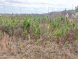 002 Reed Road - Photo 3
